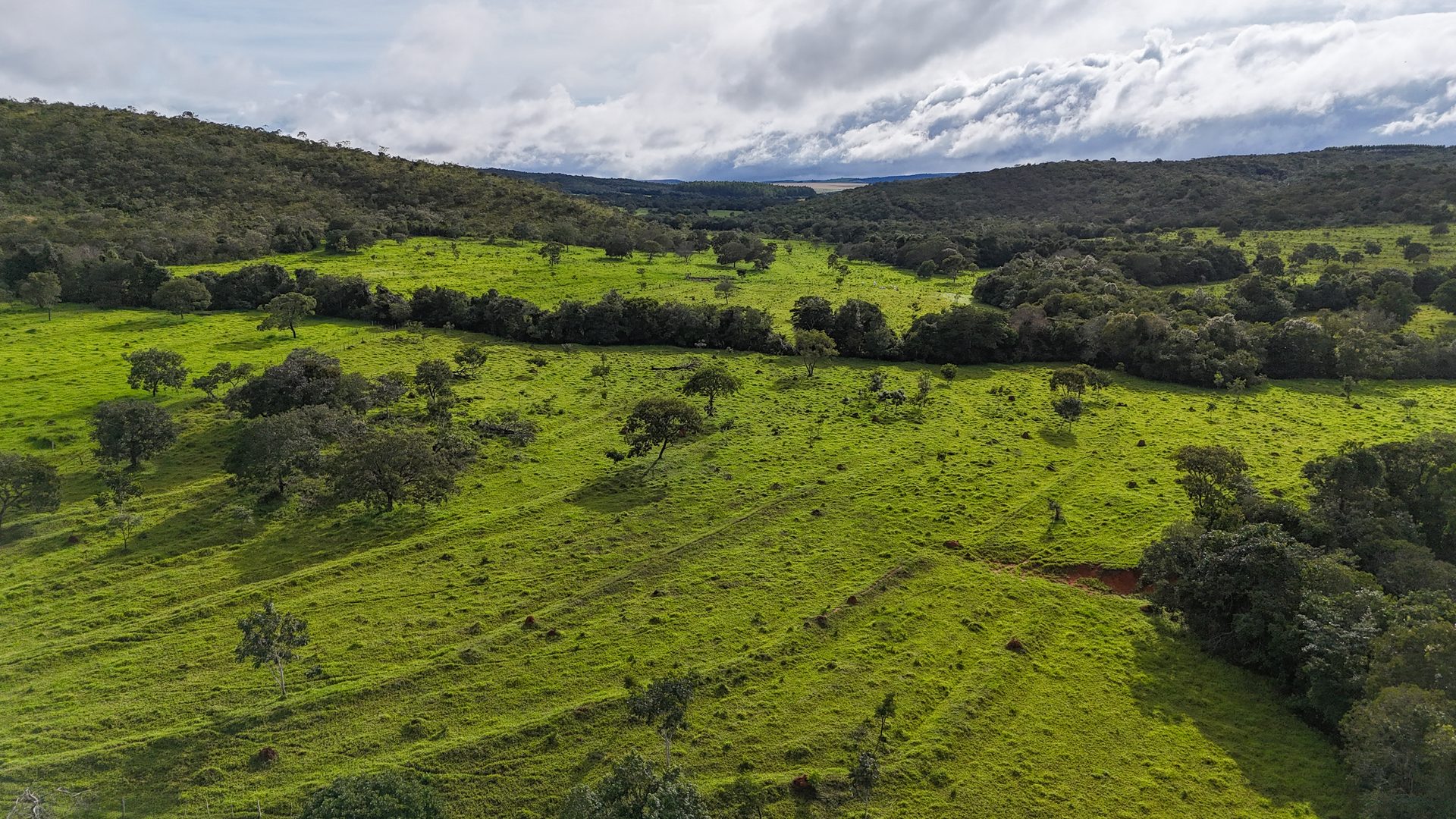 Fazenda 370 ha à venda ou permuta - foto 4