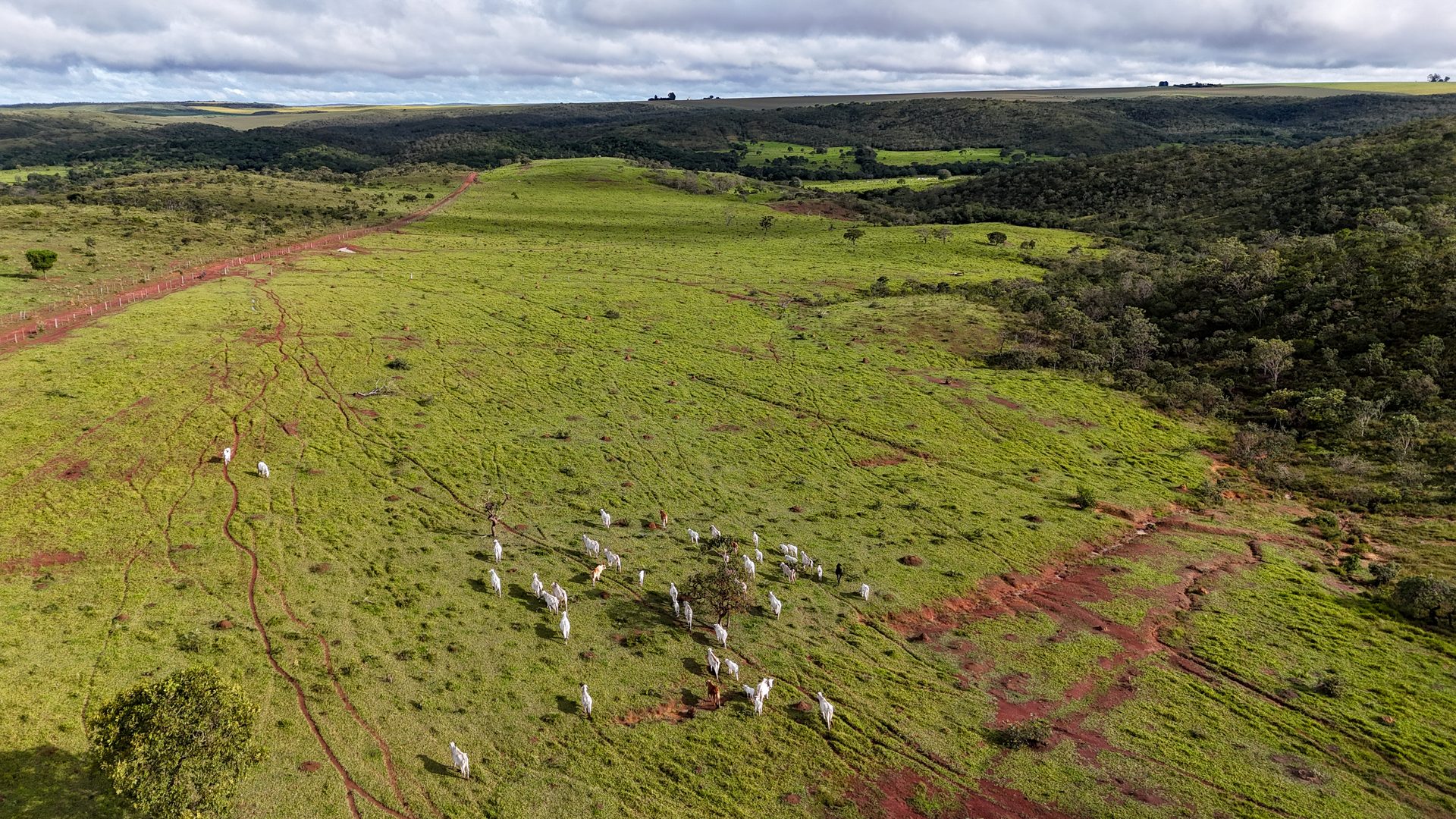 Fazenda 370 ha à venda ou permuta - foto 5