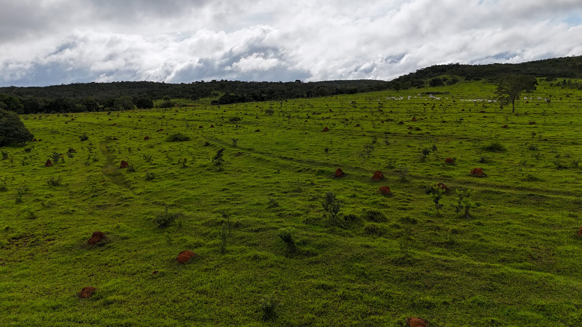 Fazenda 370 ha à venda ou permuta - foto 6