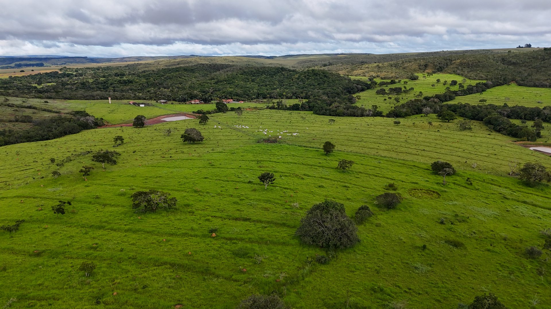 Fazenda 370 ha à venda ou permuta - foto 7
