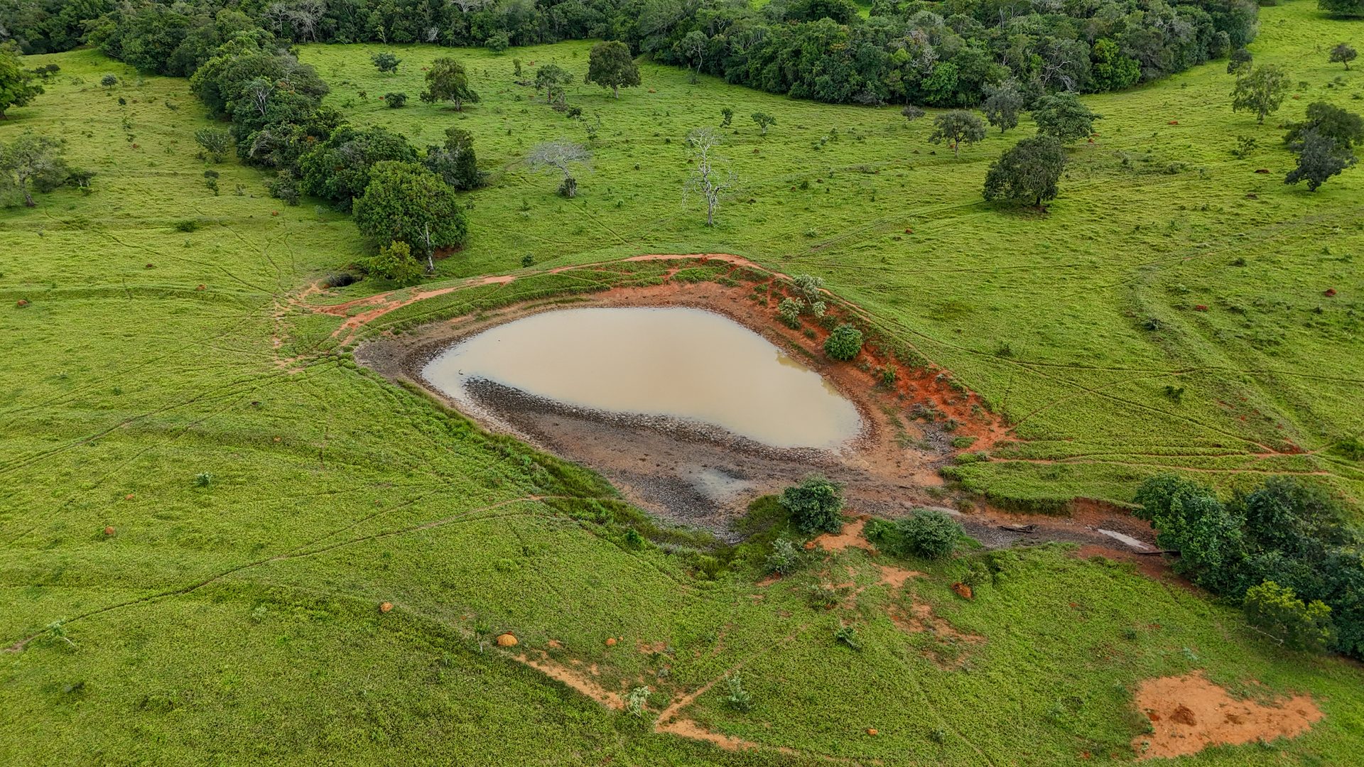 Fazenda 370 ha à venda ou permuta - foto 8