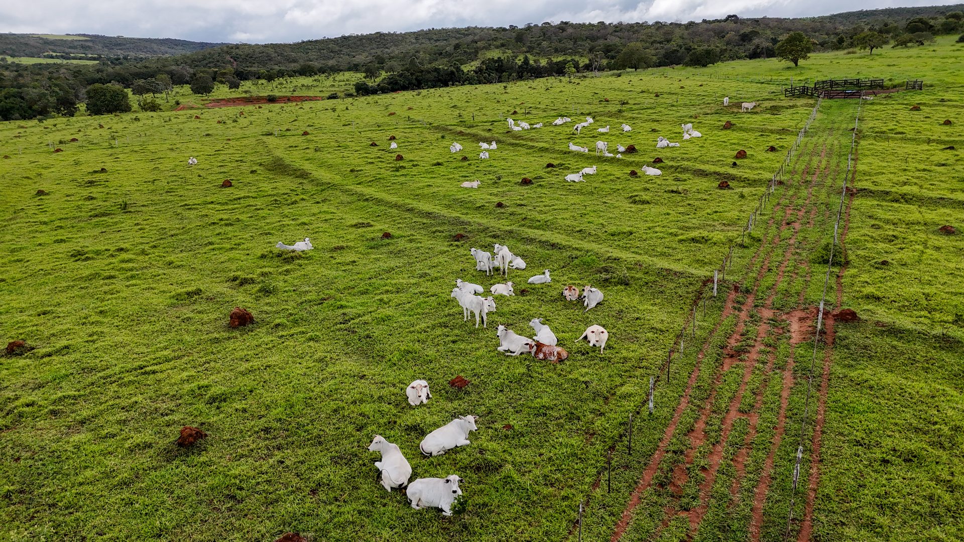 Fazenda 370 ha à venda ou permuta - foto 9