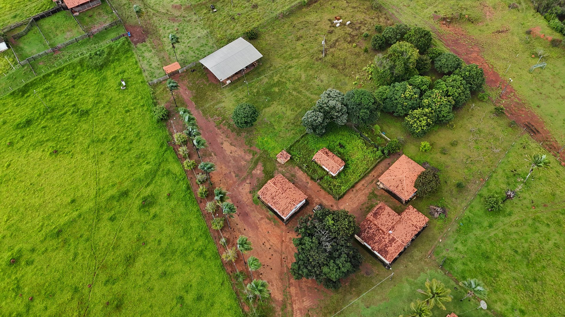 Fazenda 370 ha à venda ou permuta - foto 13