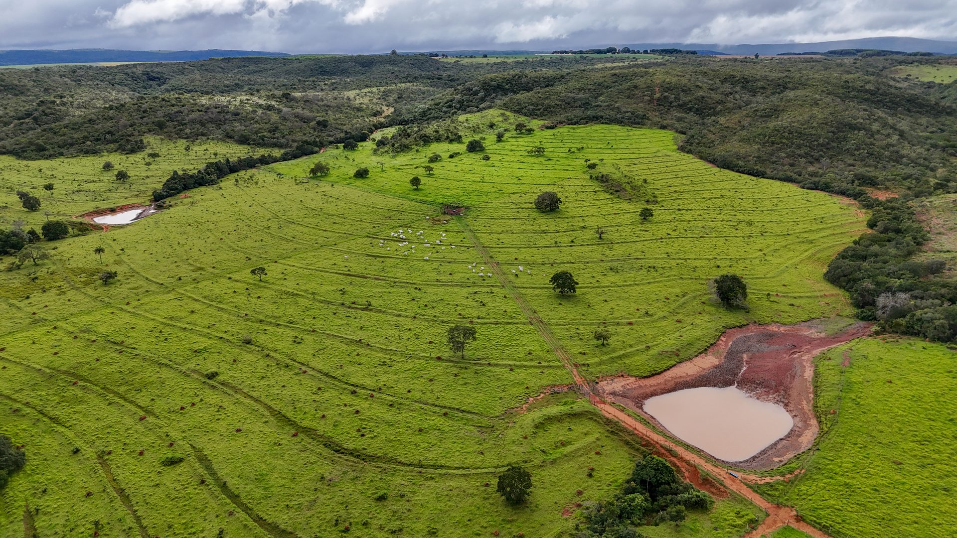 Fazenda 370 ha à venda ou permuta - foto 15
