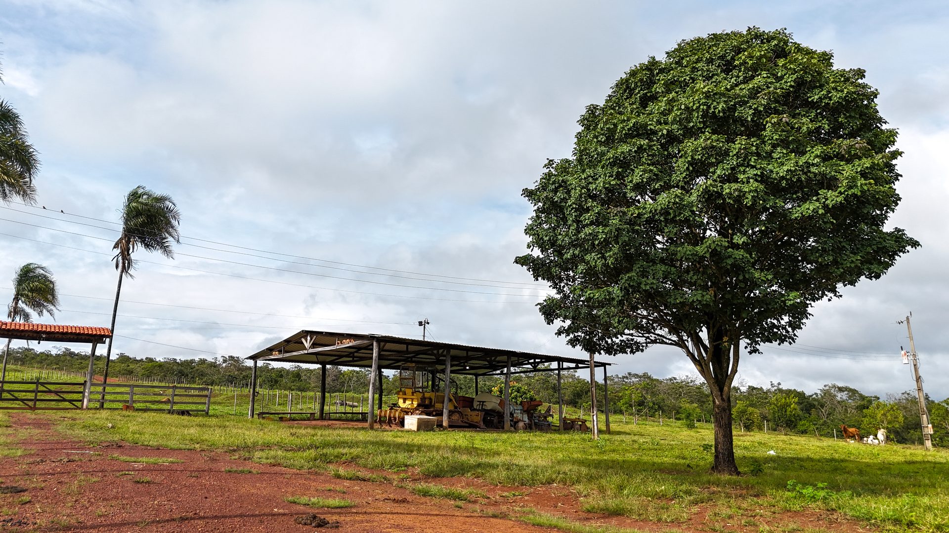 Fazenda 370 ha à venda ou permuta - foto 19