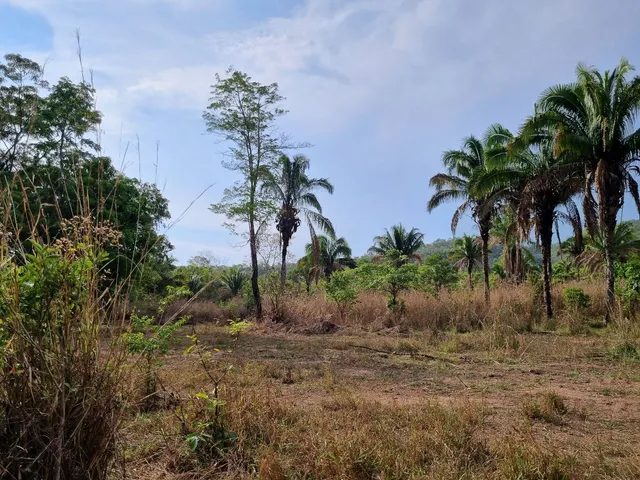 354 hectares em são joão da Aliança
