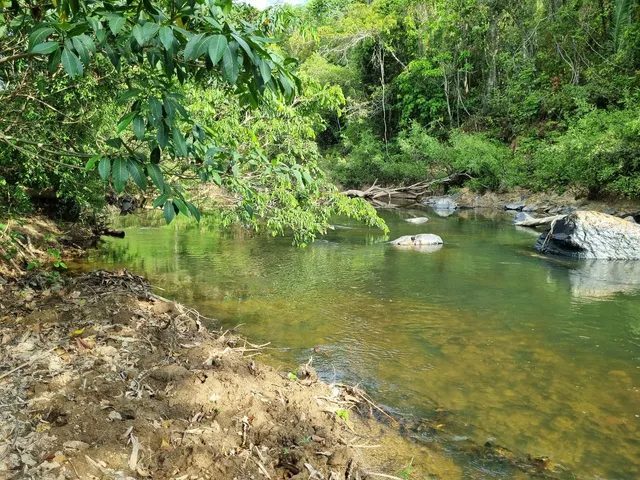 354 hectares em são joão da Aliança - foto 4