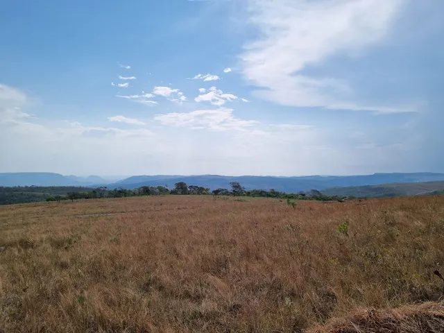 354 hectares em são joão da Aliança - foto 7