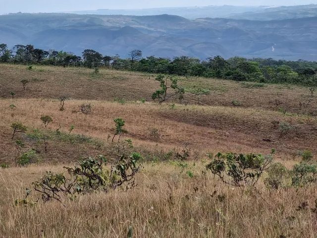 354 hectares em são joão da Aliança - foto 9