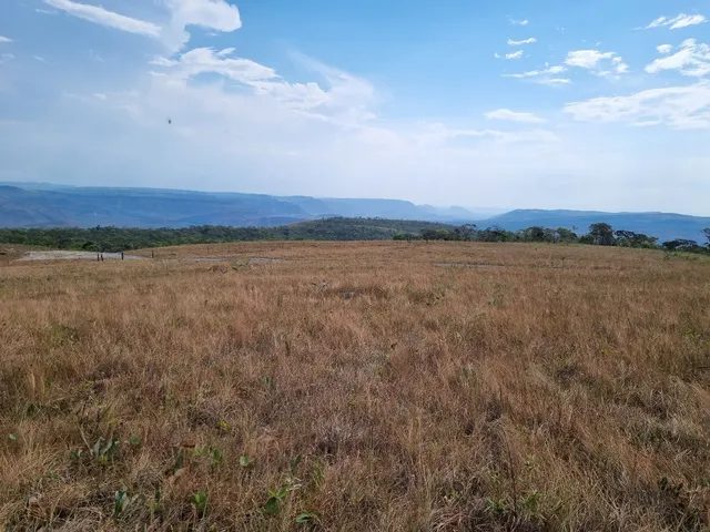 354 hectares em são joão da Aliança - foto 10