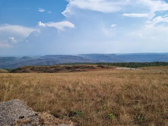 354 hectares em são joão da Aliança - foto 11