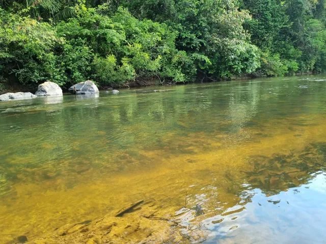 354 hectares em são joão da Aliança - foto 12