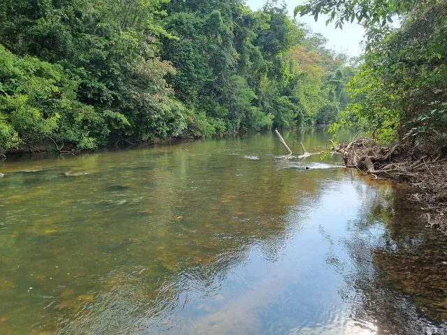 354 hectares em são joão da Aliança - foto 13