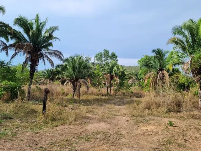 354 hectares em são joão da Aliança - foto 15