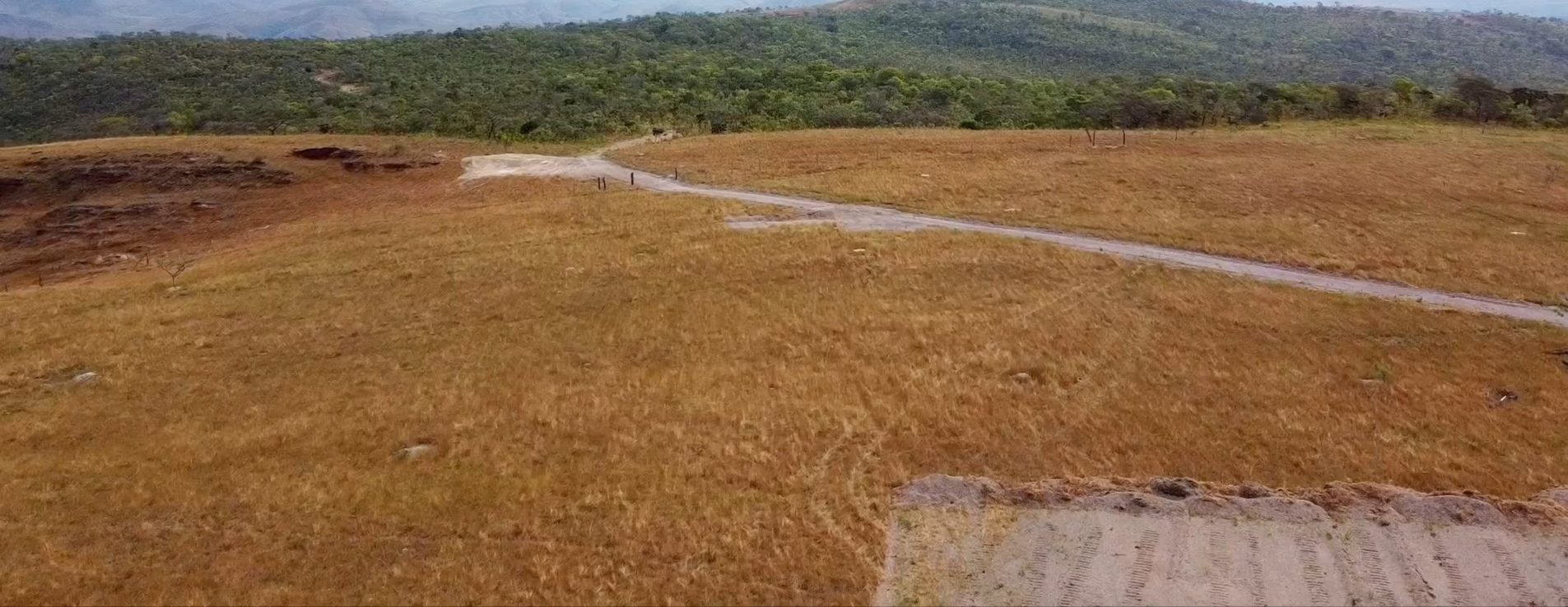 354 hectares em são joão da Aliança - foto 42