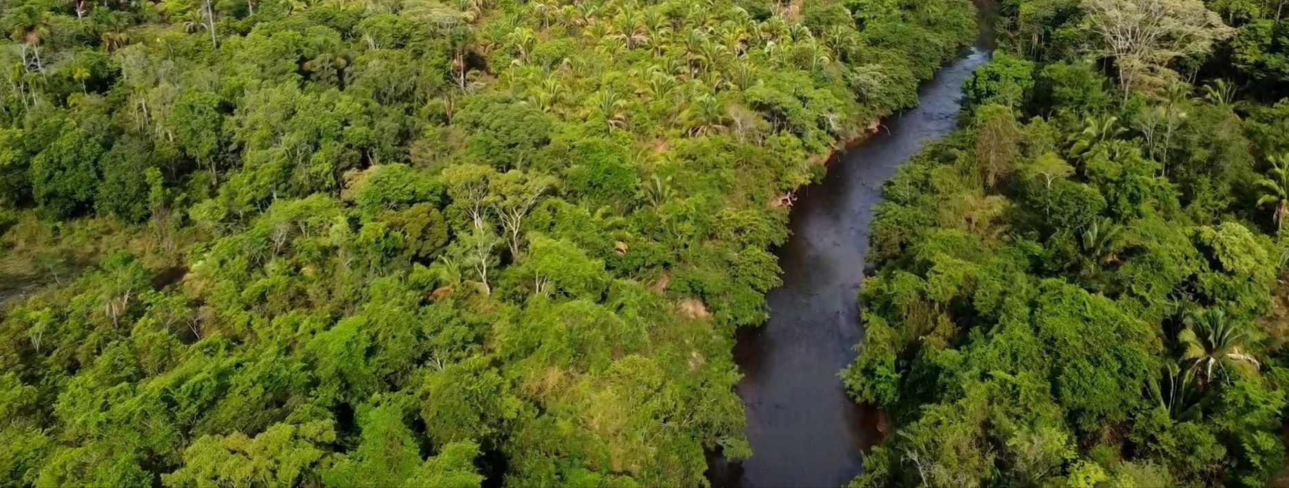 354 hectares em são joão da Aliança - foto 45