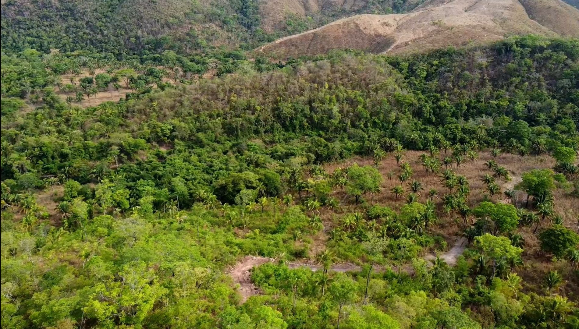 354 hectares em são joão da Aliança - foto 46