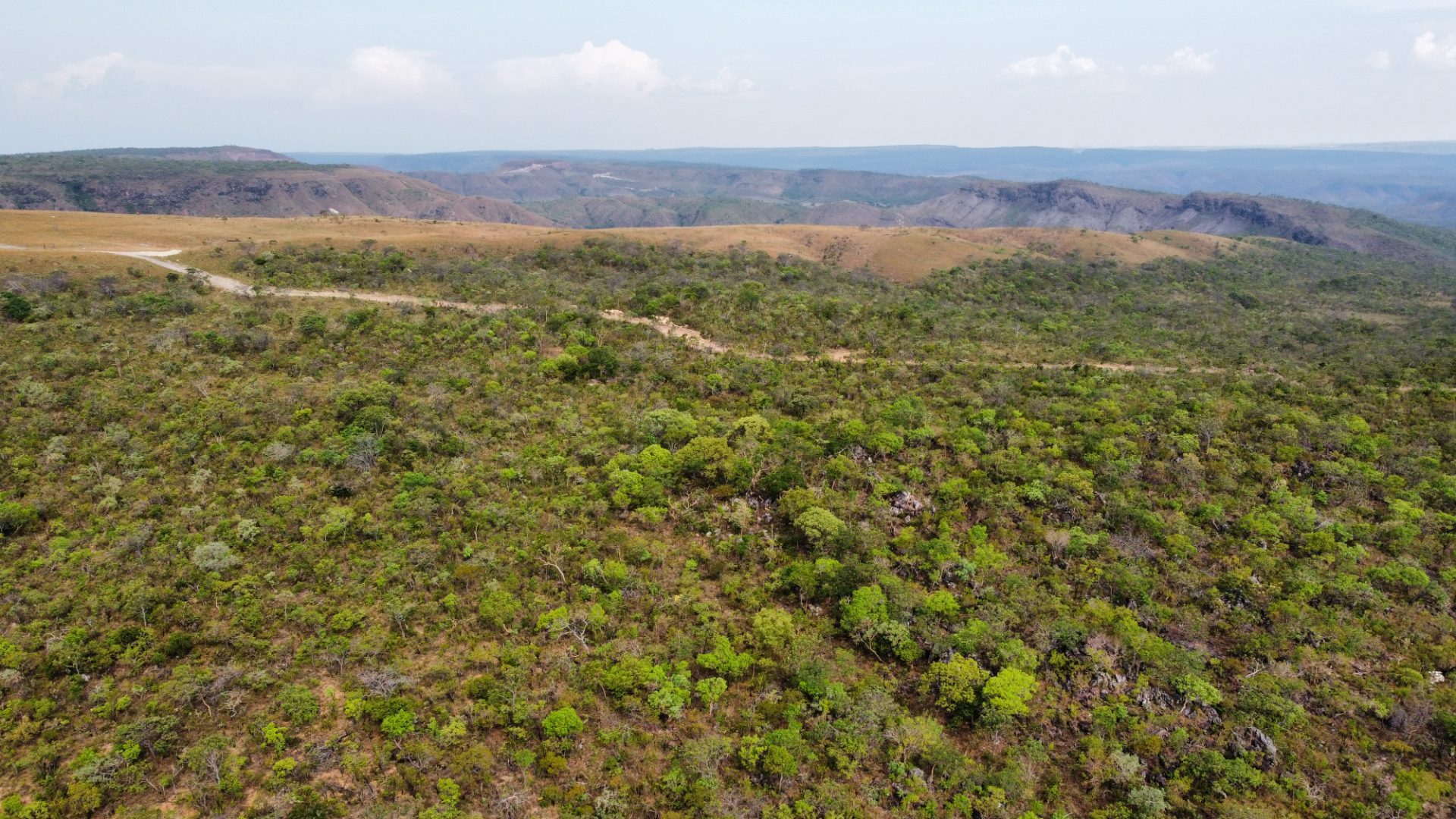354 hectares em são joão da Aliança - foto 17