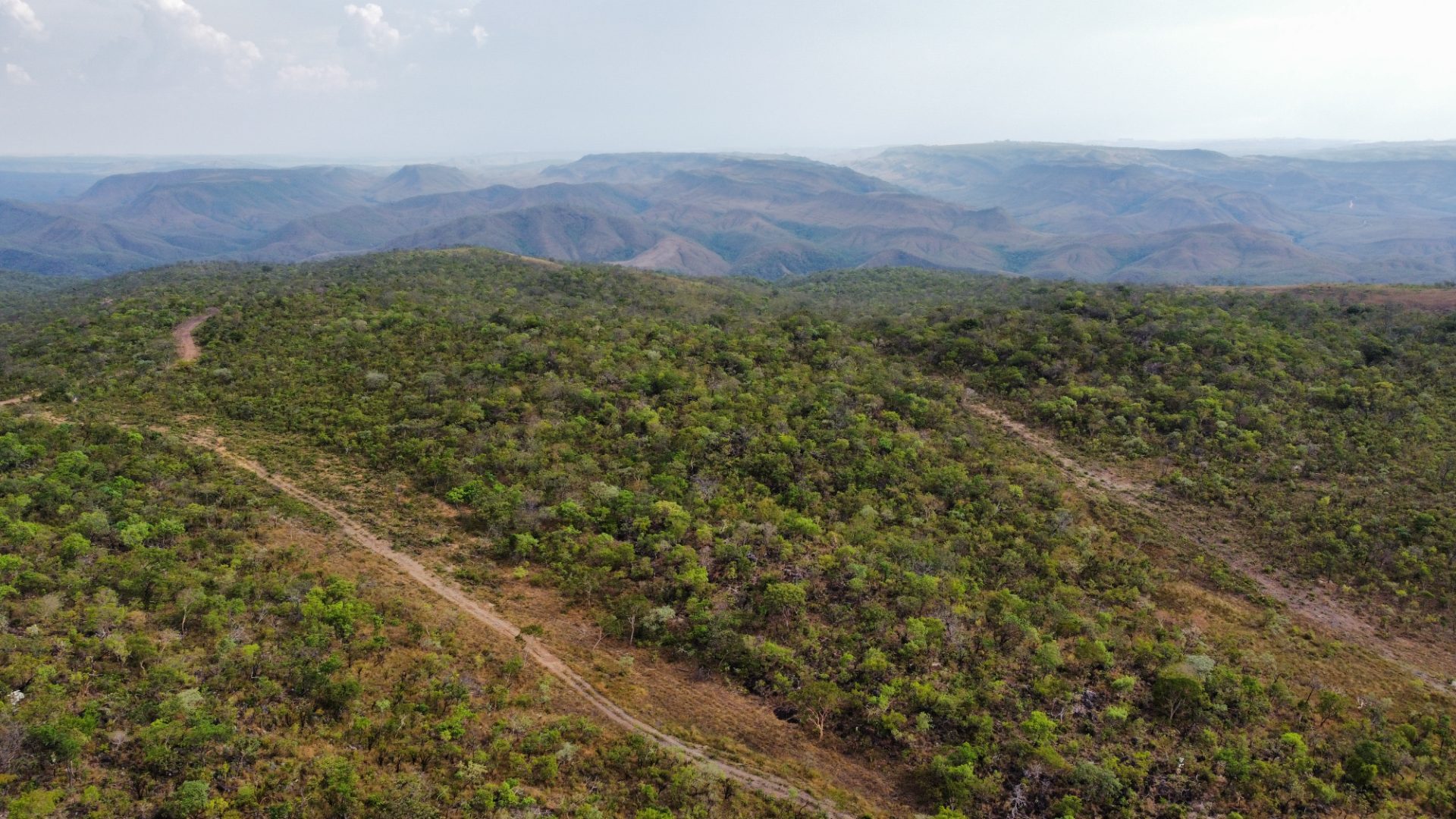 354 hectares em são joão da Aliança - foto 18