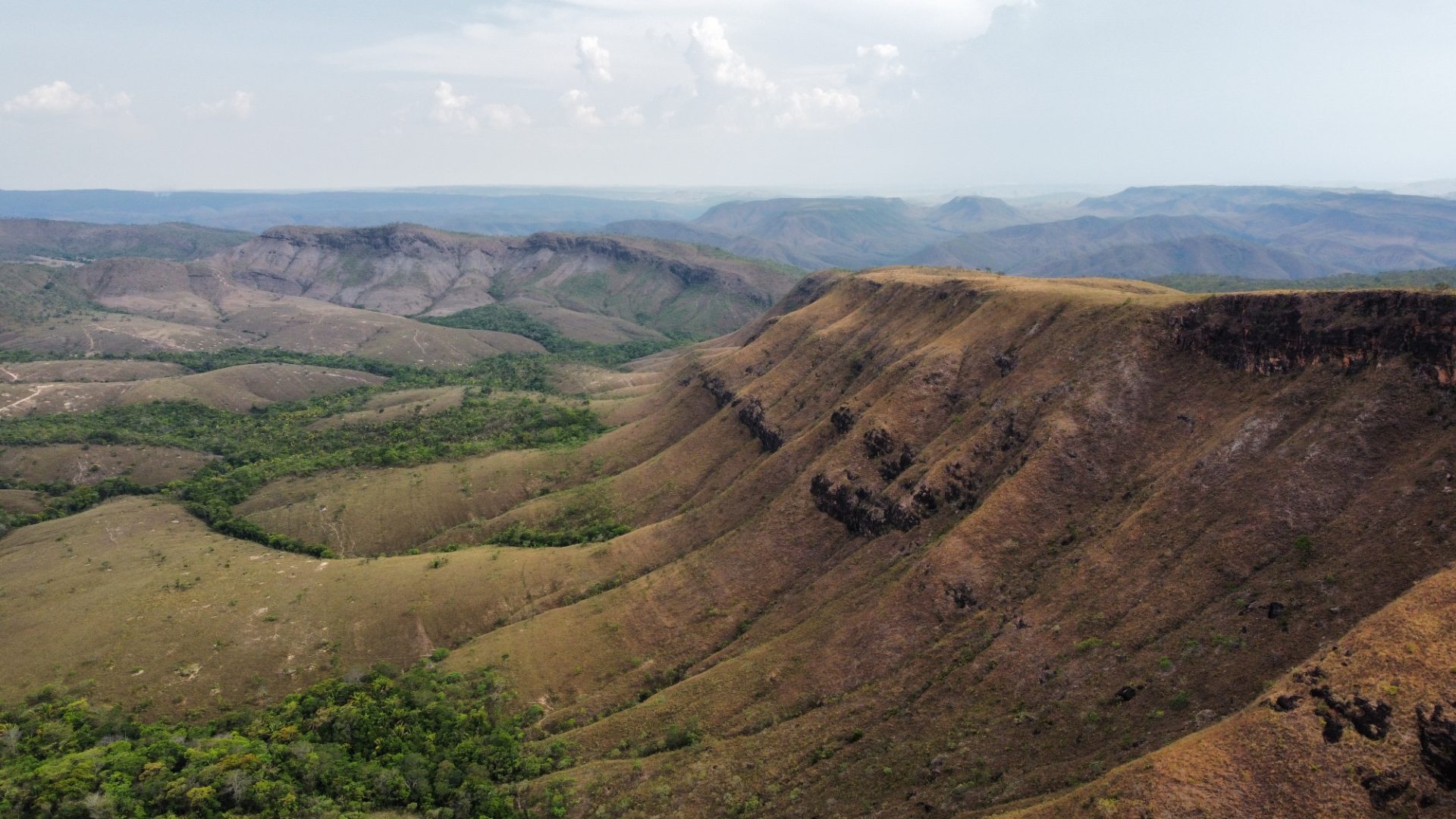 354 hectares em são joão da Aliança - foto 19