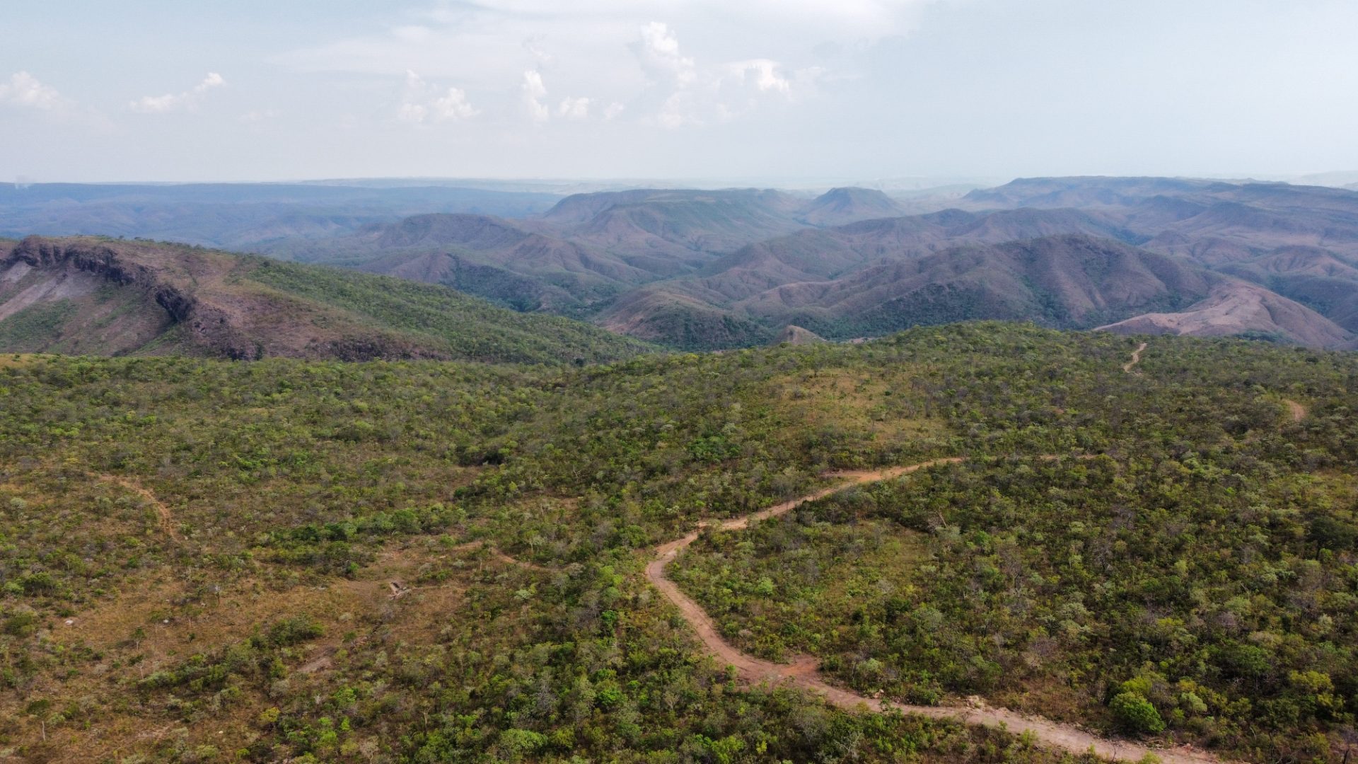 354 hectares em são joão da Aliança - foto 21