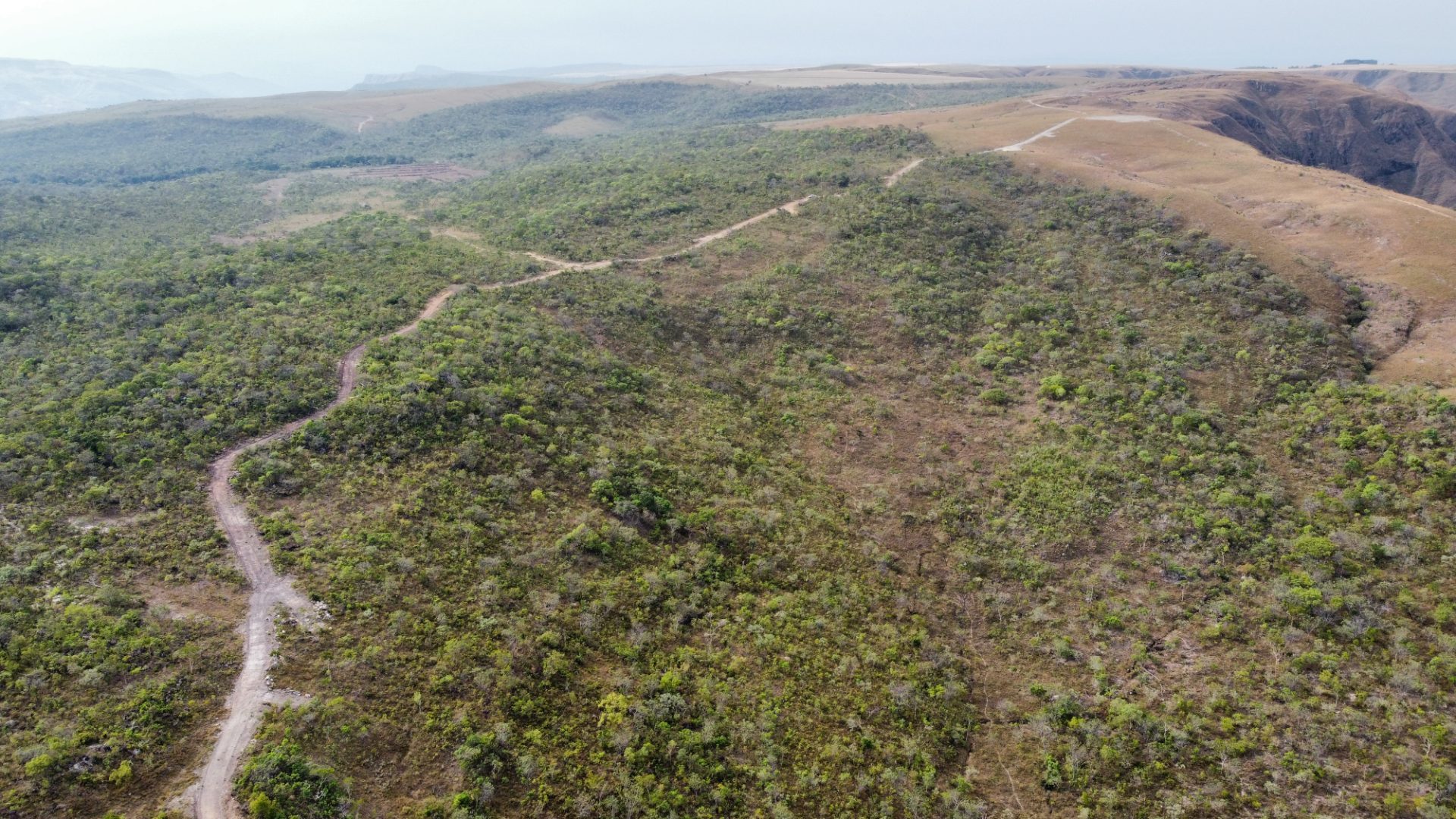 354 hectares em são joão da Aliança - foto 22
