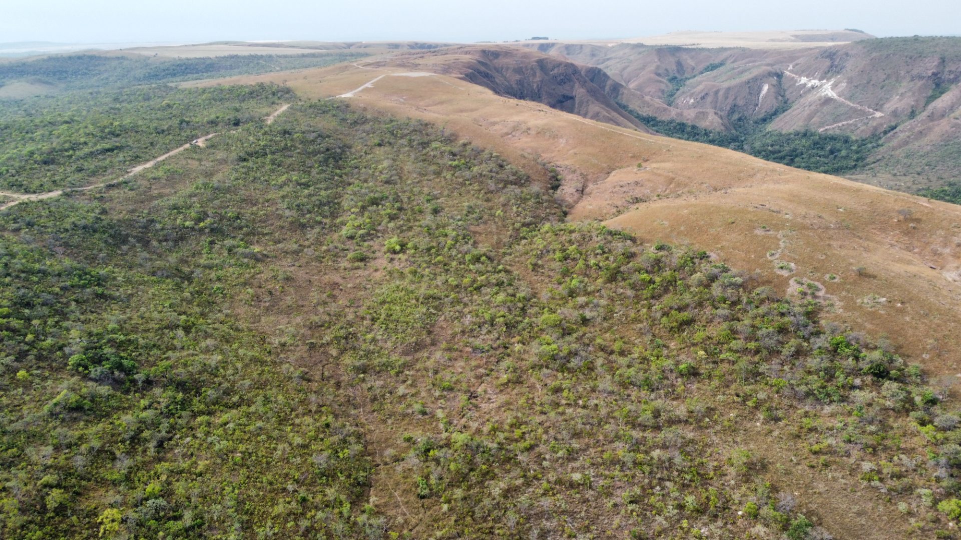 354 hectares em são joão da Aliança - foto 23