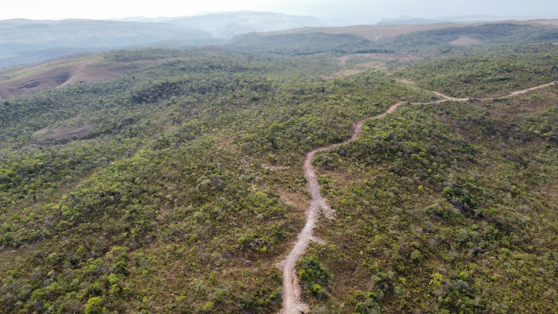 354 hectares em são joão da Aliança - foto 24