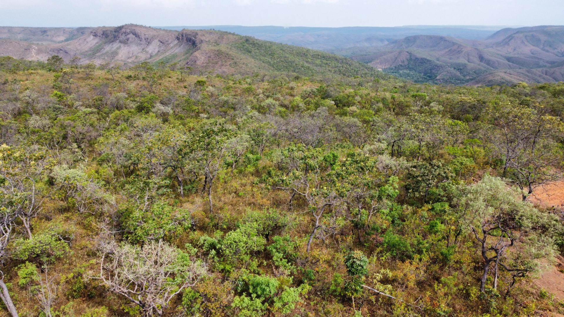 354 hectares em são joão da Aliança - foto 26