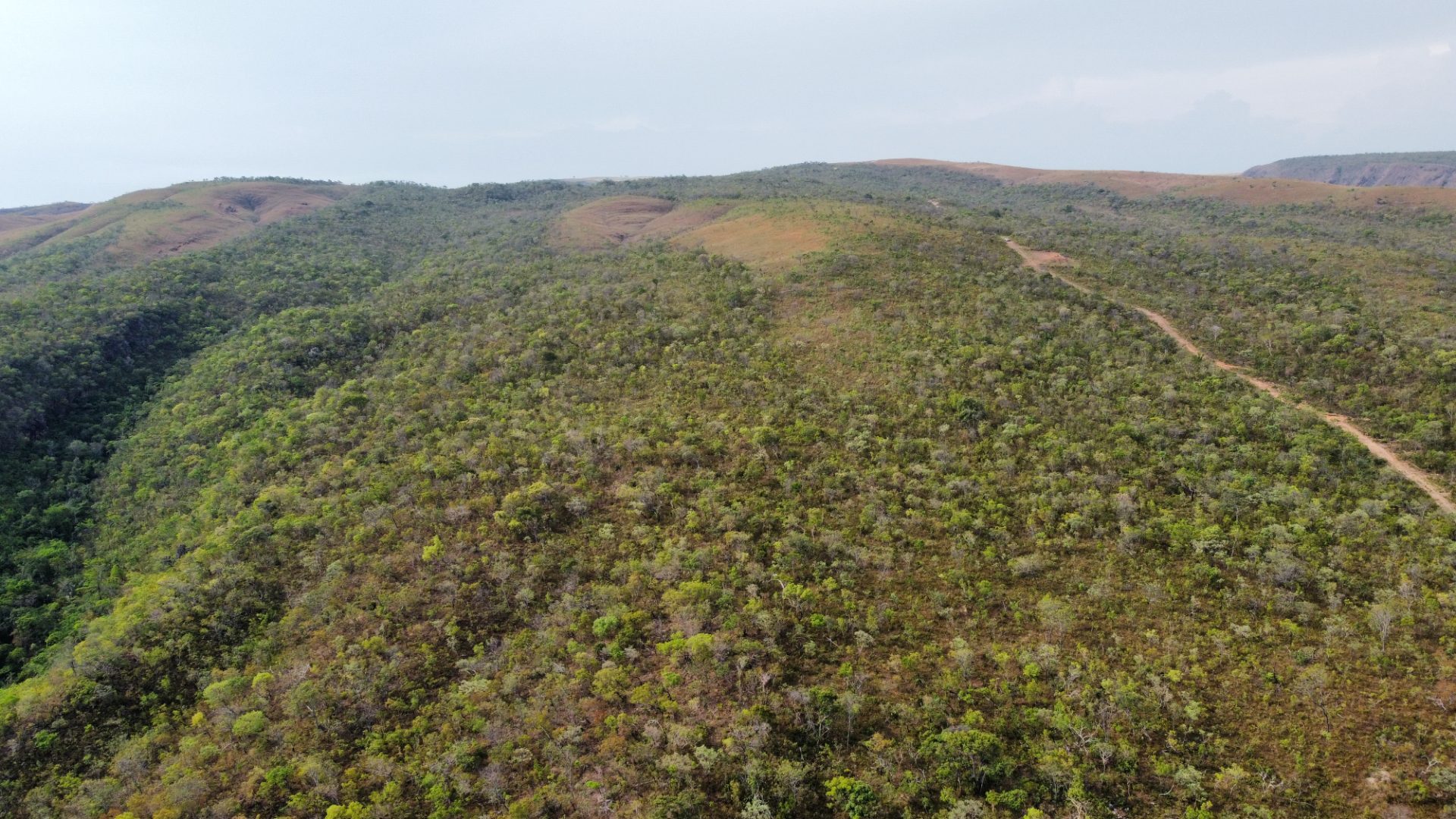 354 hectares em são joão da Aliança - foto 27