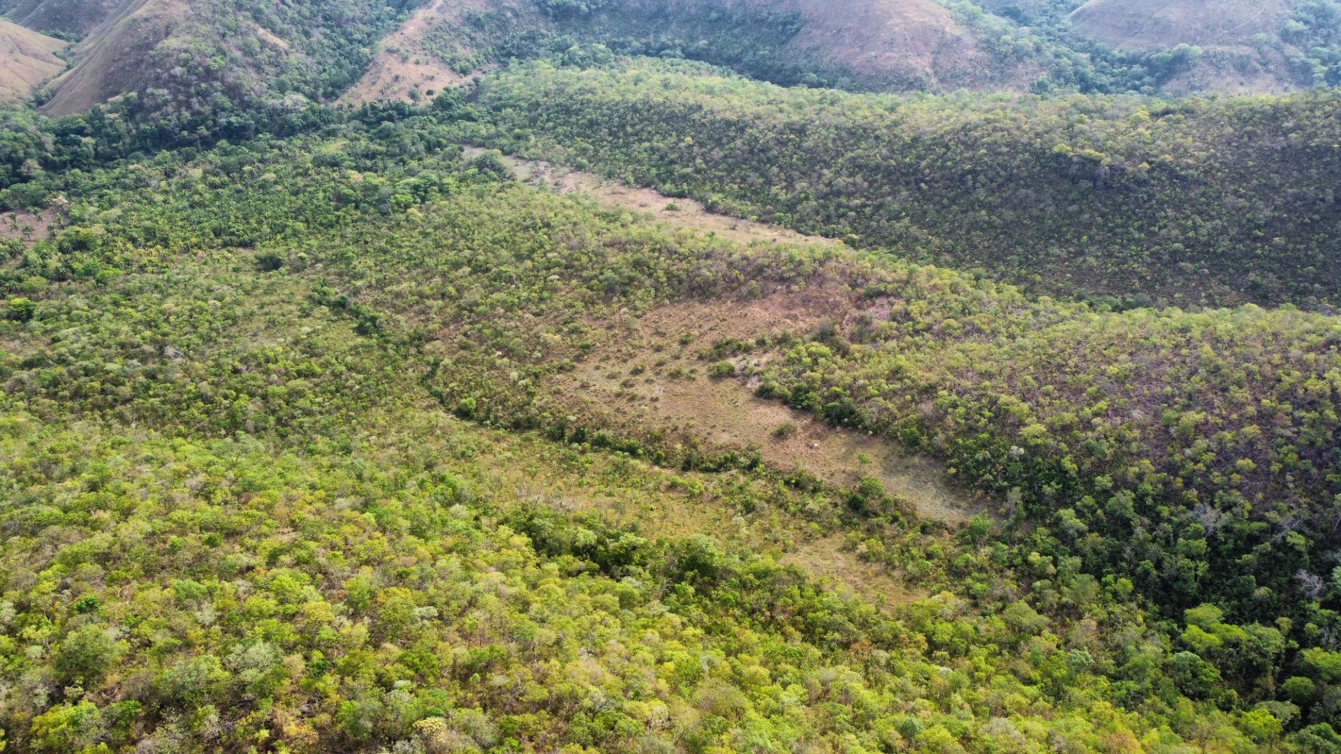 354 hectares em são joão da Aliança - foto 28