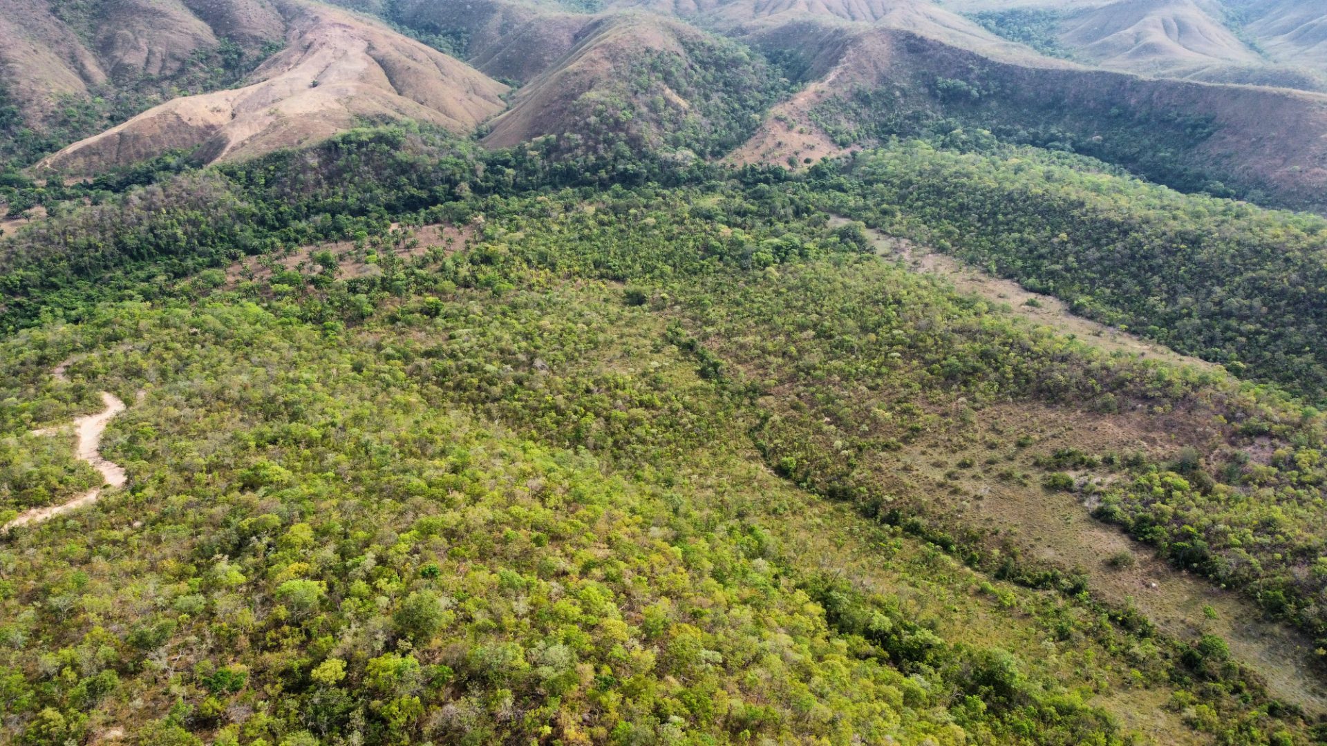354 hectares em são joão da Aliança - foto 29