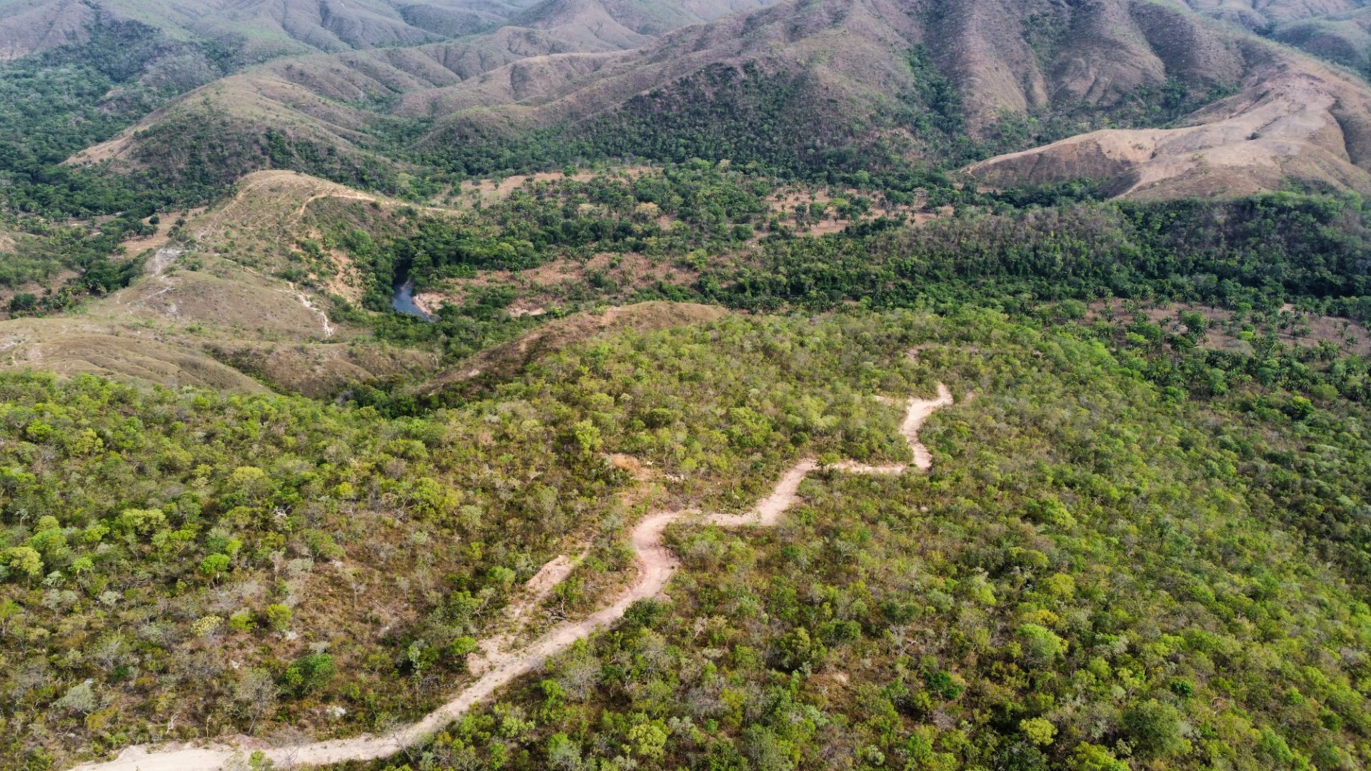 354 hectares em são joão da Aliança - foto 30