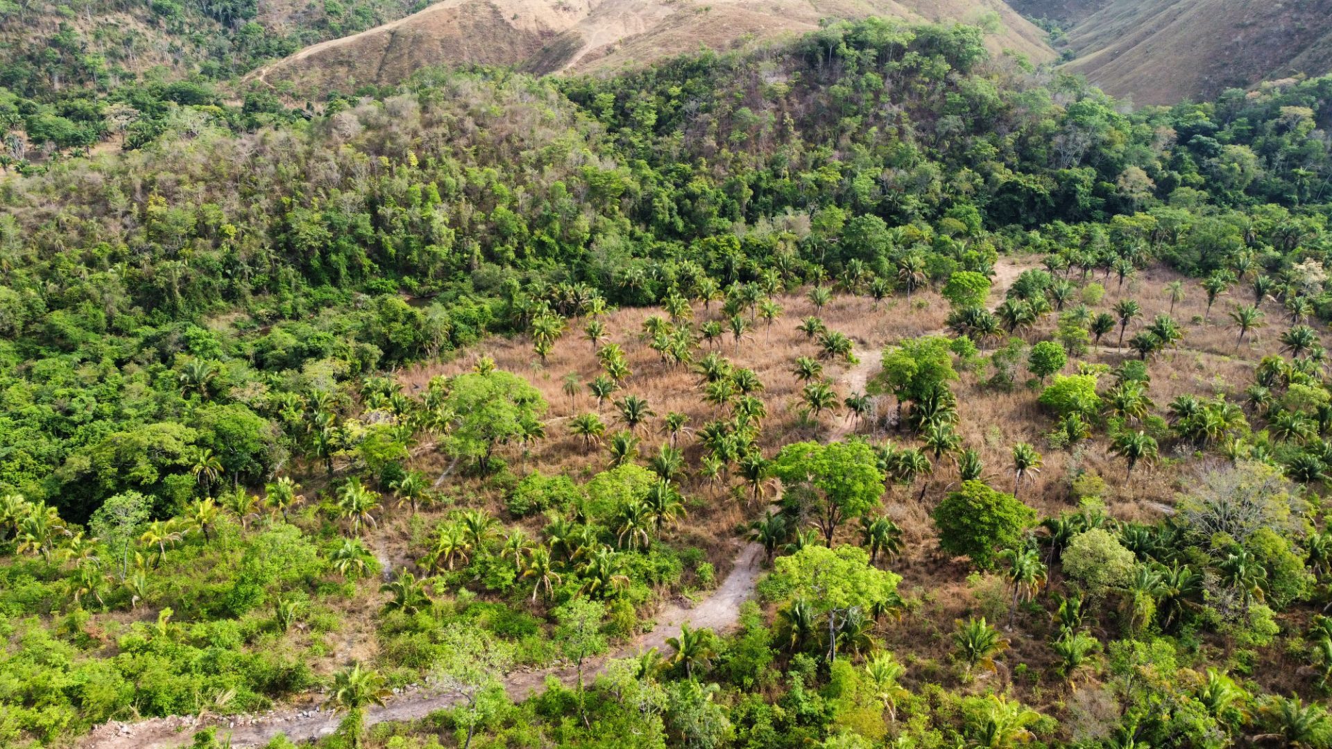 354 hectares em são joão da Aliança - foto 31