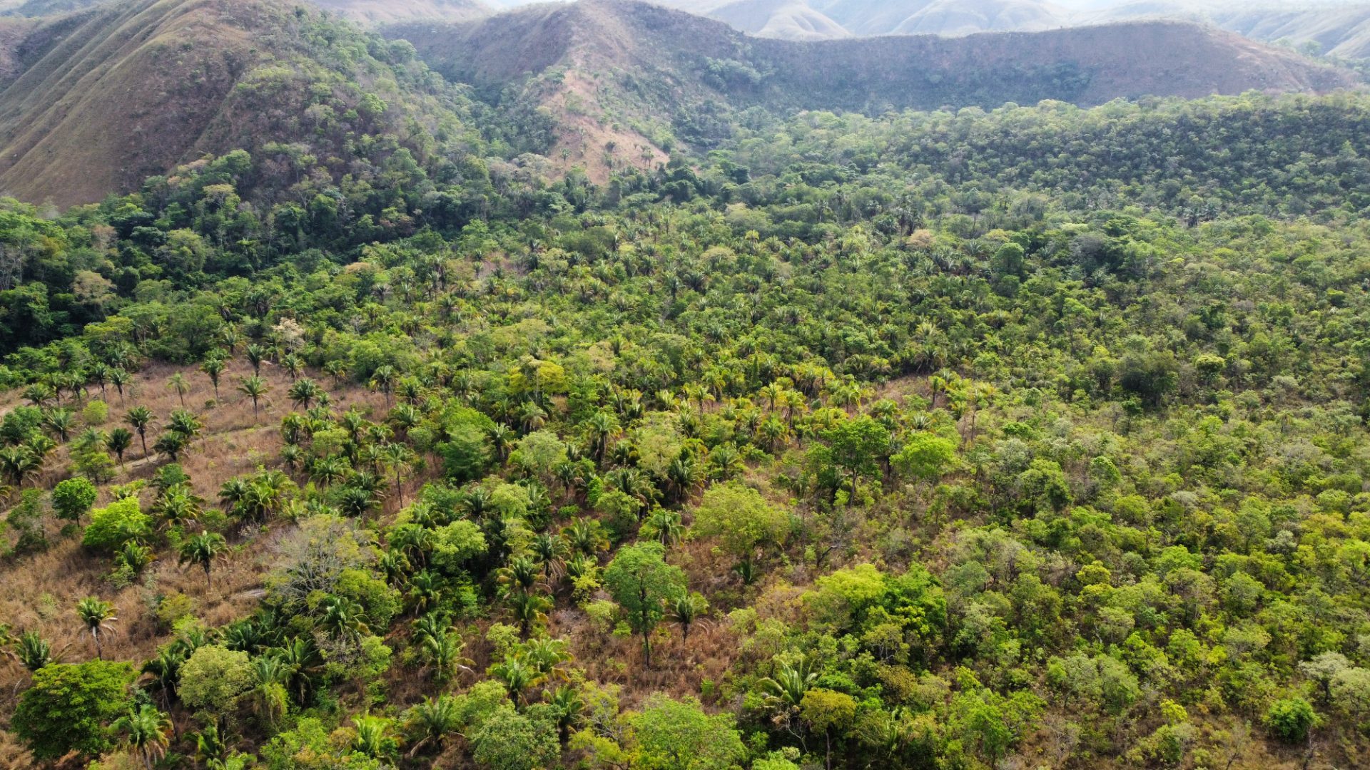 354 hectares em são joão da Aliança - foto 32