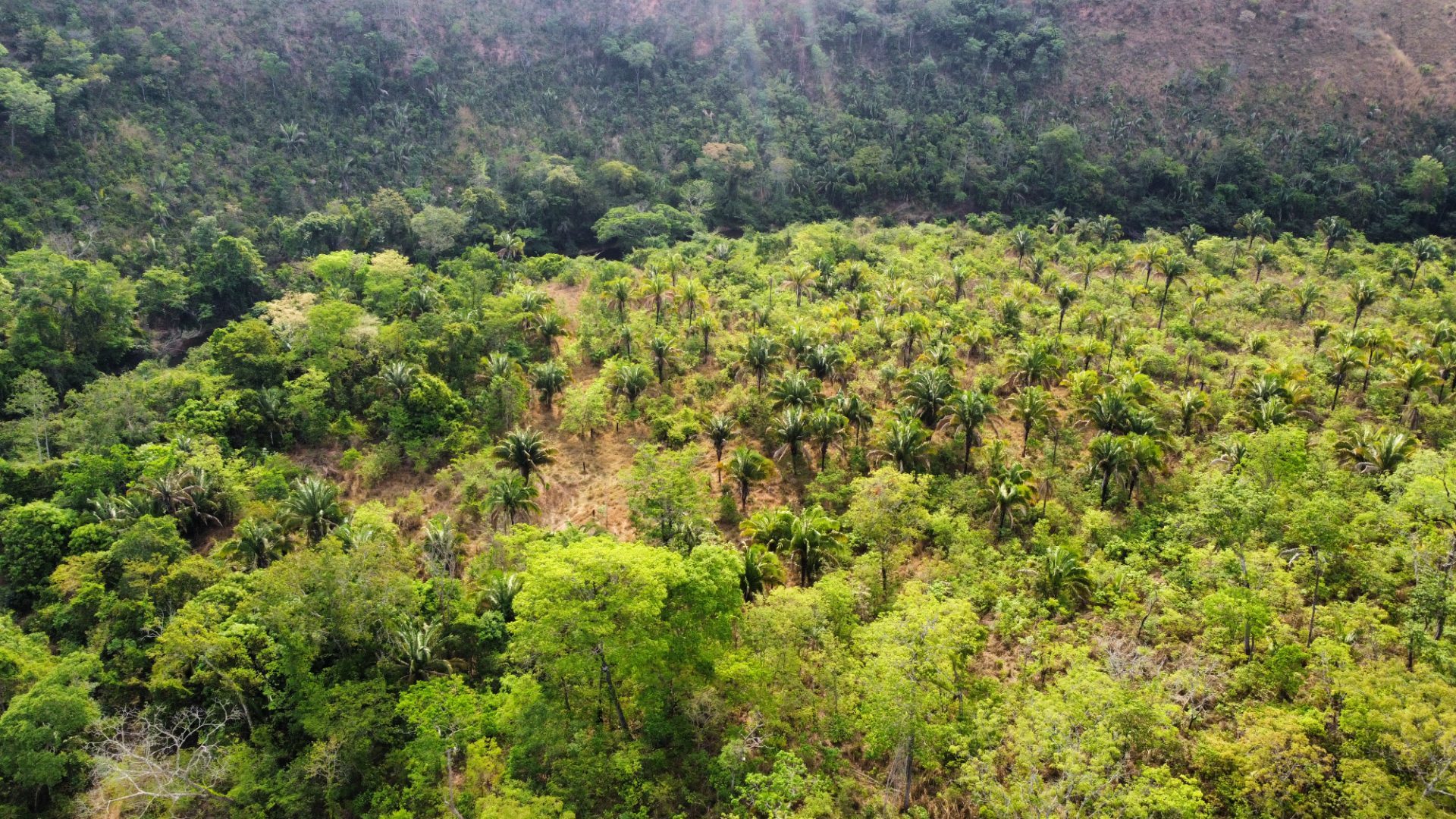 354 hectares em são joão da Aliança - foto 33