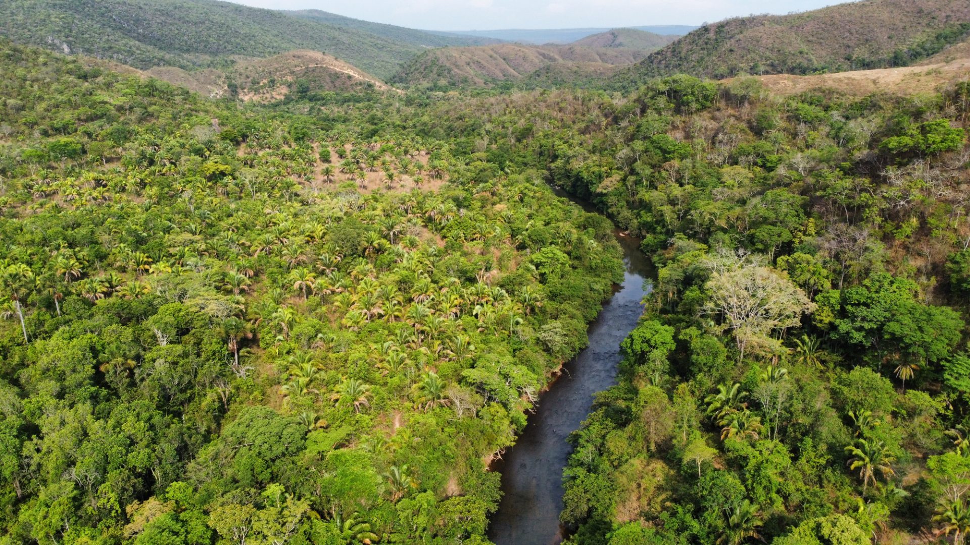 354 hectares em são joão da Aliança - foto 34