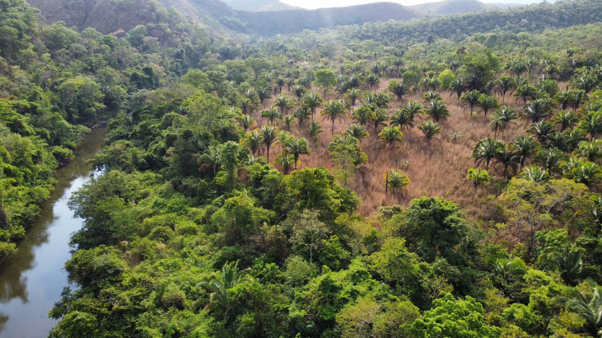 354 hectares em são joão da Aliança - foto 35