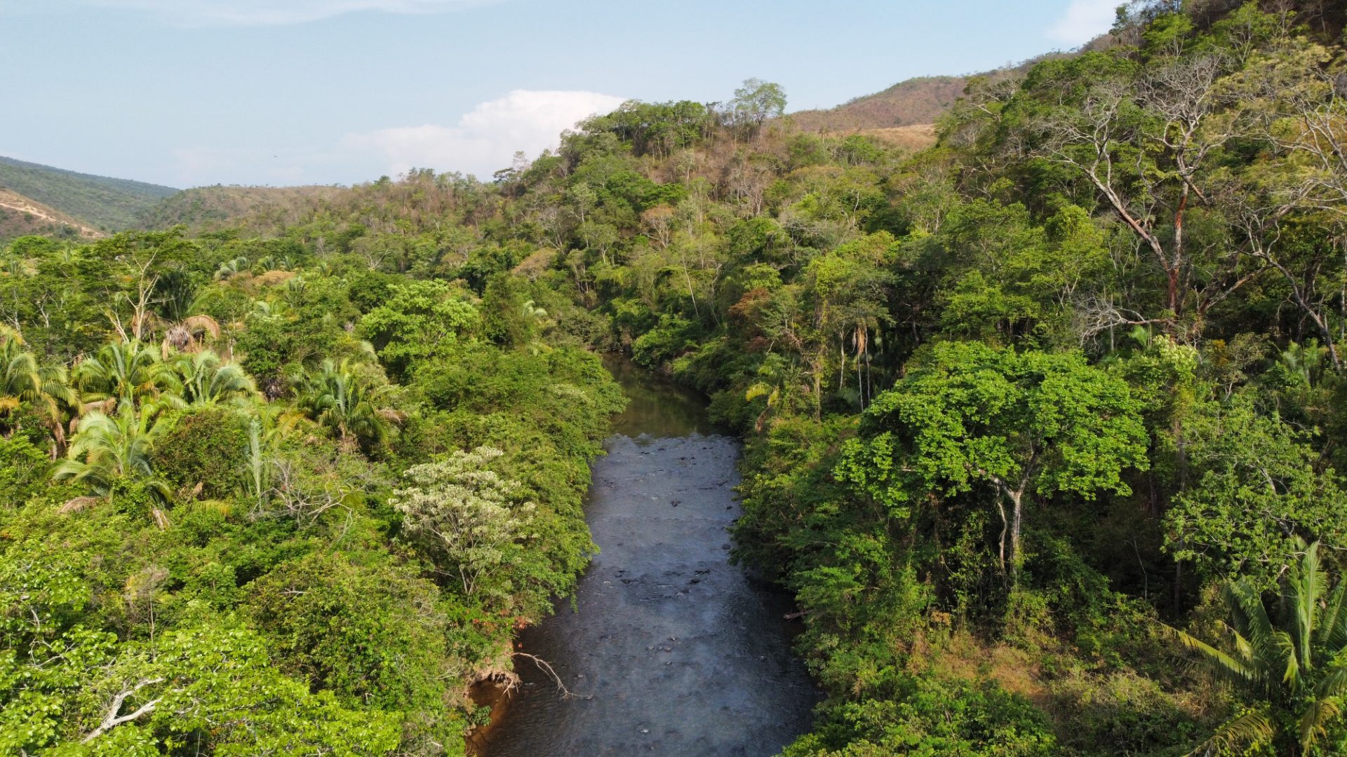 354 hectares em são joão da Aliança - foto 36