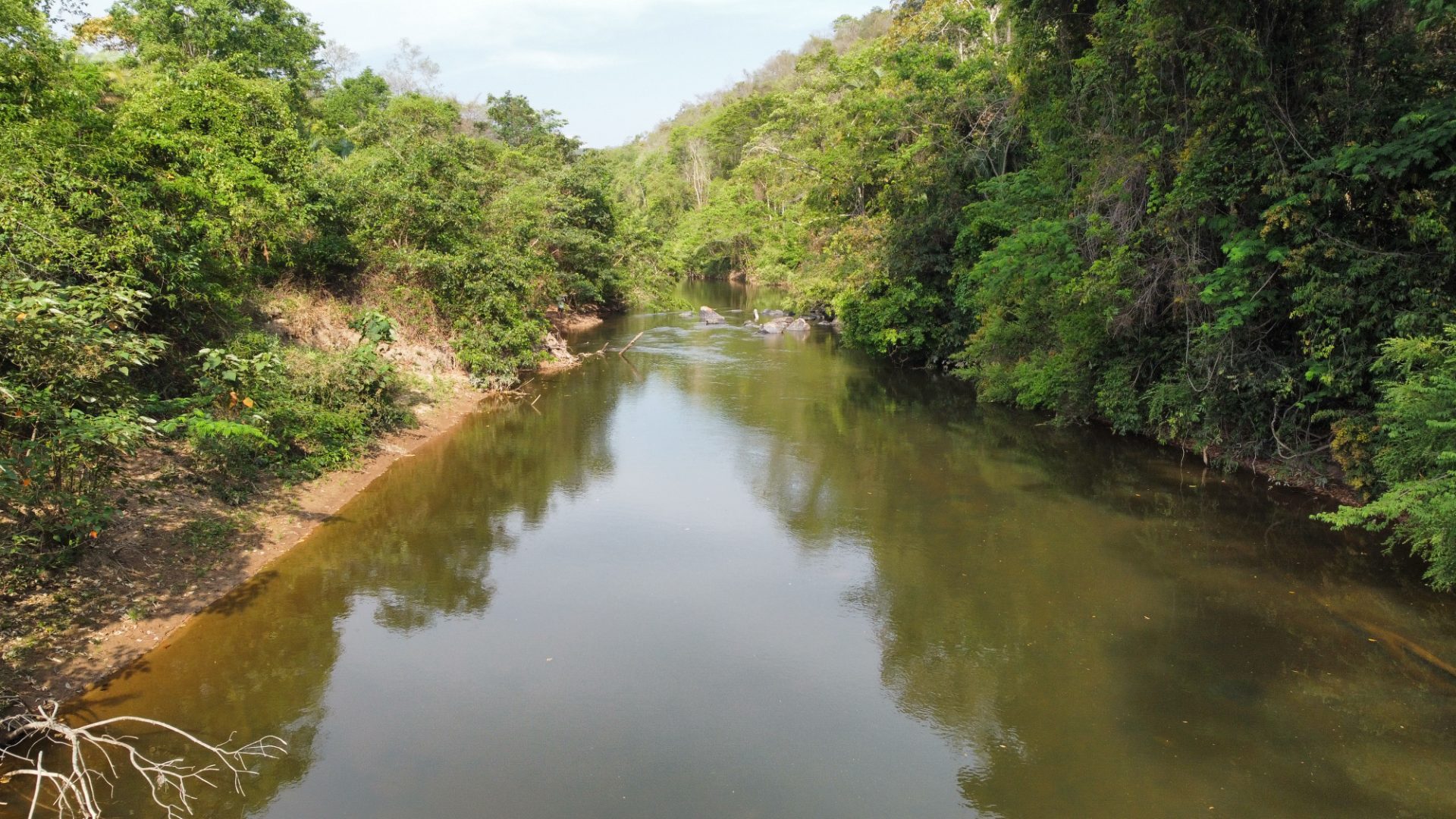 354 hectares em são joão da Aliança - foto 37