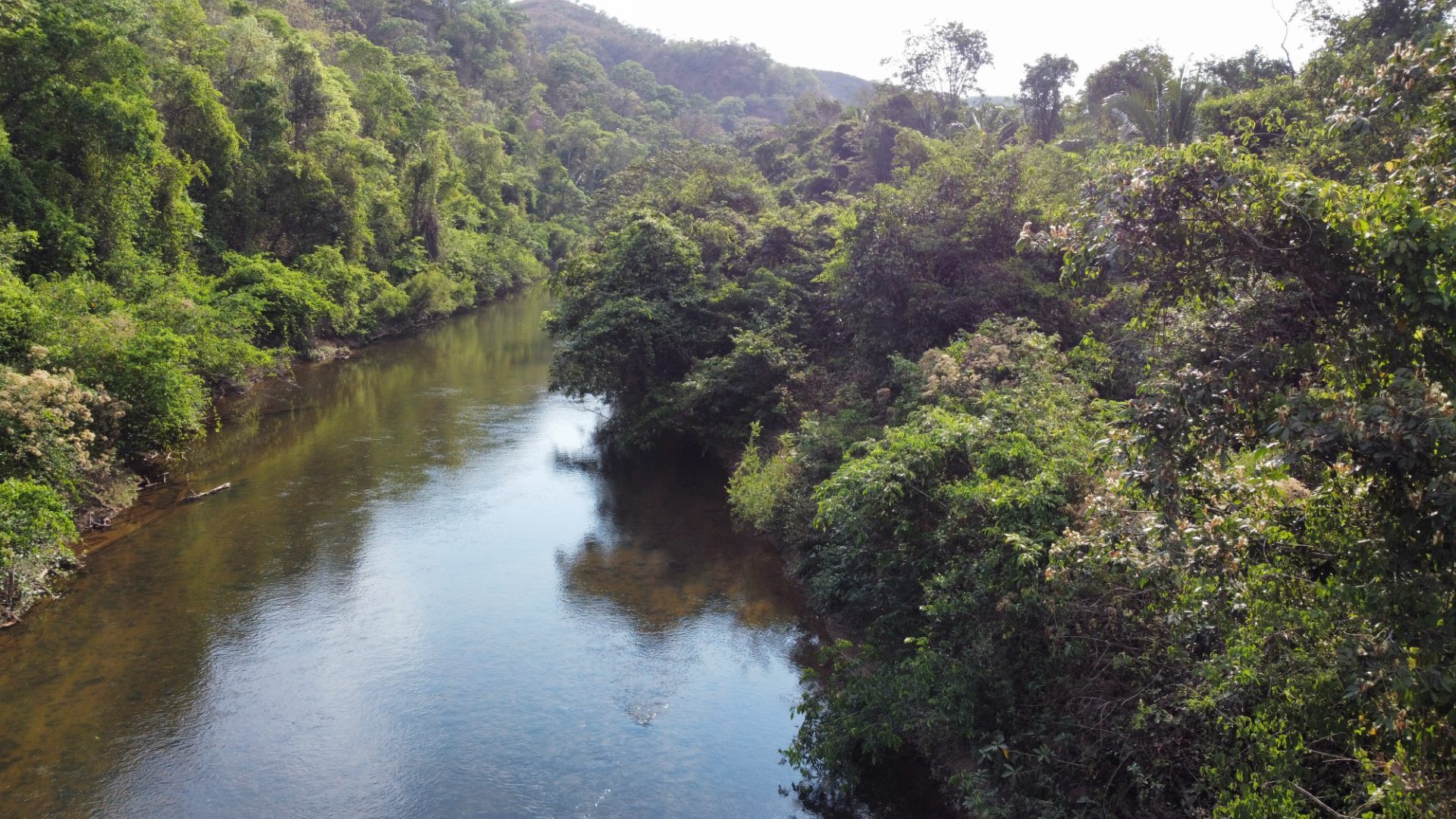 354 hectares em são joão da Aliança - foto 39