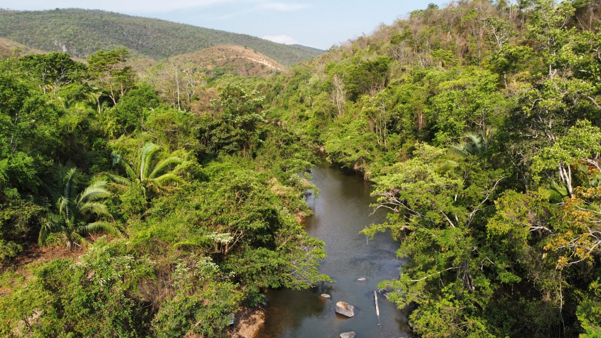354 hectares em são joão da Aliança - foto 40