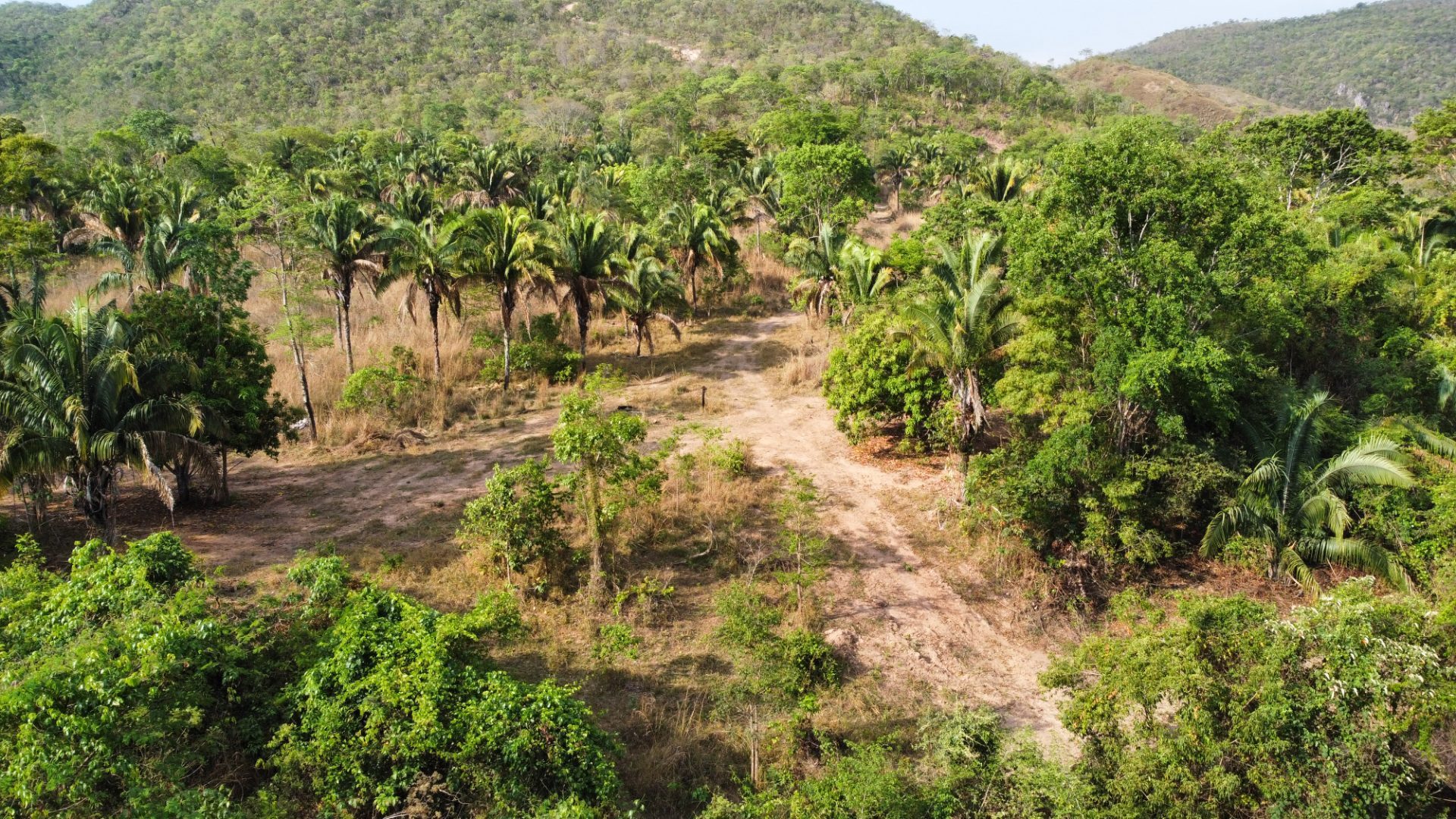354 hectares em são joão da Aliança - foto 41