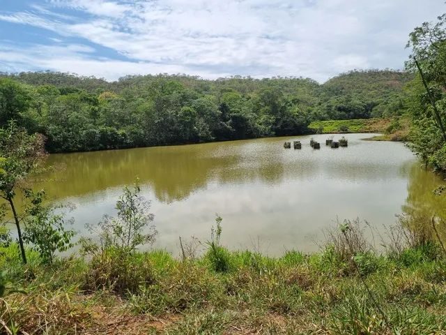 Fazenda de 45 Hectares à Venda – Ponte Alta/DF | Apenas 10 km do Gama - foto 13