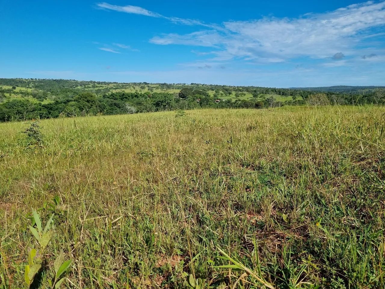 Fazenda de 1.500 Hectares à Venda em Catalão/GO – Dupla Aptidão