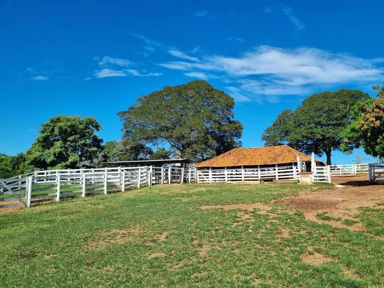 Fazenda de 1.500 Hectares à Venda em Catalão/GO – Dupla Aptidão - foto 4
