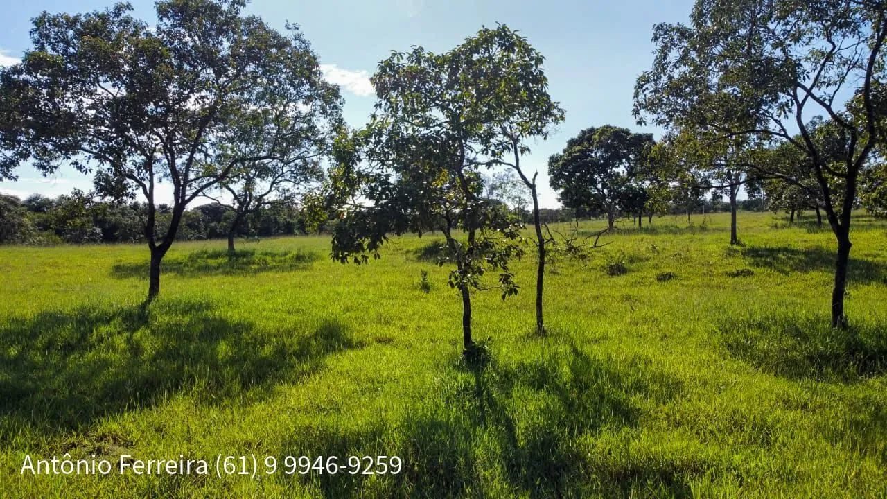 Fazenda de 1.500 Hectares à Venda em Catalão/GO – Dupla Aptidão - foto 6