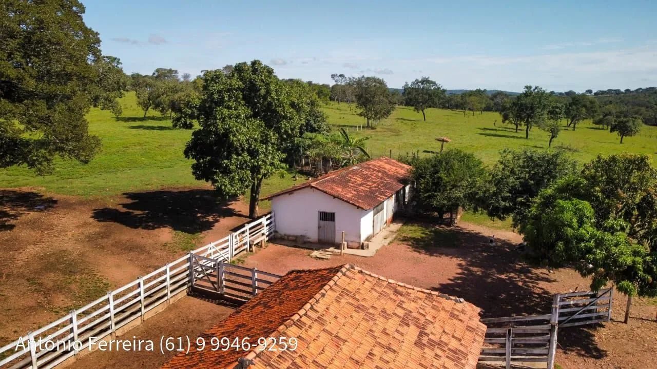 Fazenda de 1.500 Hectares à Venda em Catalão/GO – Dupla Aptidão - foto 7