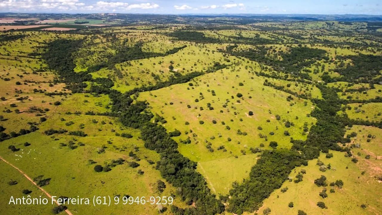 Fazenda de 1.500 Hectares à Venda em Catalão/GO – Dupla Aptidão - foto 8