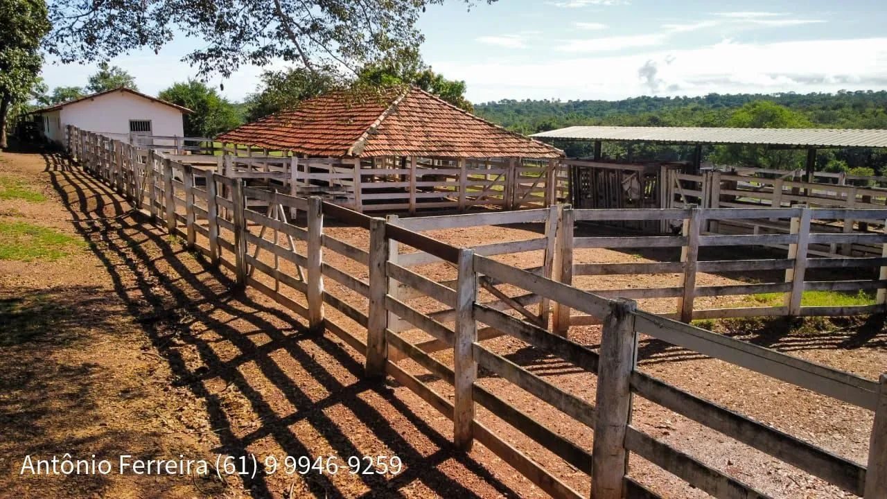 Fazenda de 1.500 Hectares à Venda em Catalão/GO – Dupla Aptidão - foto 9